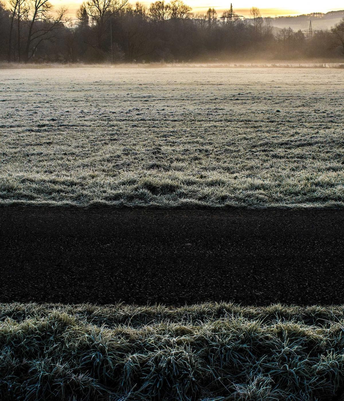 One of Tisan's street cats sunbathing on the pier